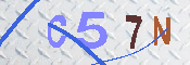 CAPTCHA 驗證圖片
