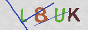 CAPTCHA 驗證圖片