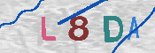 CAPTCHA 驗證圖片