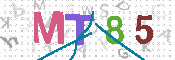 CAPTCHA 驗證圖片