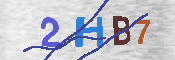 CAPTCHA 驗證圖片