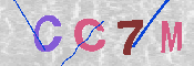 CAPTCHA 驗證圖片