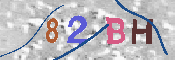 CAPTCHA 驗證圖片