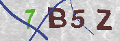 CAPTCHA 驗證圖片