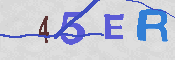 CAPTCHA 驗證圖片