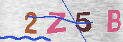 CAPTCHA 驗證圖片