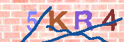 CAPTCHA 驗證圖片