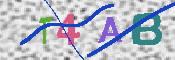 CAPTCHA 驗證圖片