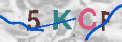 CAPTCHA 驗證圖片