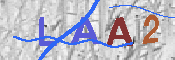 CAPTCHA 驗證圖片