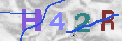 CAPTCHA 驗證圖片