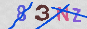 CAPTCHA 驗證圖片