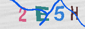 CAPTCHA 驗證圖片