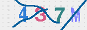 CAPTCHA 驗證圖片