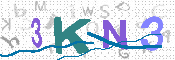CAPTCHA 驗證圖片