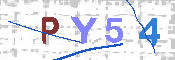 CAPTCHA 驗證圖片