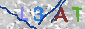 CAPTCHA 驗證圖片
