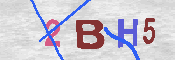 CAPTCHA 驗證圖片