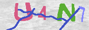 CAPTCHA 驗證圖片
