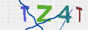 CAPTCHA 驗證圖片