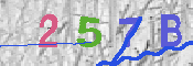 CAPTCHA 驗證圖片