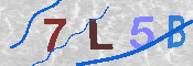 CAPTCHA 驗證圖片