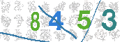 CAPTCHA 驗證圖片