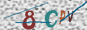 CAPTCHA 驗證圖片