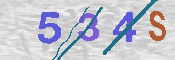 CAPTCHA 驗證圖片