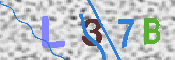 CAPTCHA 驗證圖片
