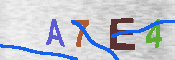 CAPTCHA 驗證圖片