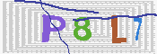 CAPTCHA 驗證圖片