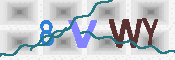 CAPTCHA 驗證圖片