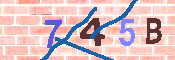 CAPTCHA 驗證圖片