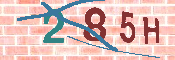 CAPTCHA 驗證圖片