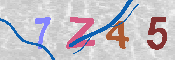 CAPTCHA 驗證圖片