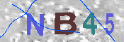CAPTCHA 驗證圖片