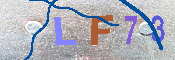CAPTCHA 驗證圖片