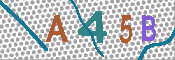 CAPTCHA 驗證圖片
