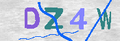 CAPTCHA 驗證圖片