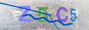 CAPTCHA 驗證圖片