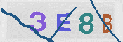 CAPTCHA 驗證圖片