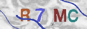 CAPTCHA 驗證圖片