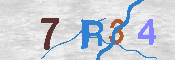 CAPTCHA 驗證圖片