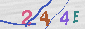 CAPTCHA 驗證圖片