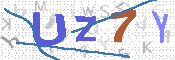 CAPTCHA 驗證圖片