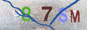 CAPTCHA 驗證圖片