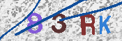 CAPTCHA 驗證圖片