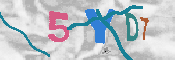 CAPTCHA 驗證圖片