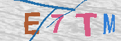 CAPTCHA 驗證圖片